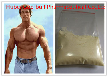 China 10161-33-8 Strongest Tren Anabolic Steroid , Light Yellow Raw Steroid Powder supplier