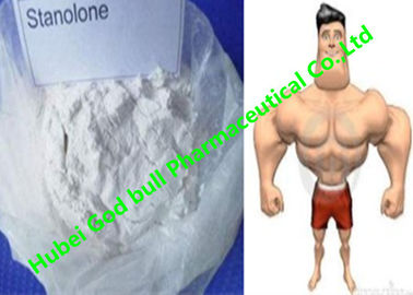China Stanozolol Winstrol Bulking Cycle Steroids , GMP white crystalline powder supplier